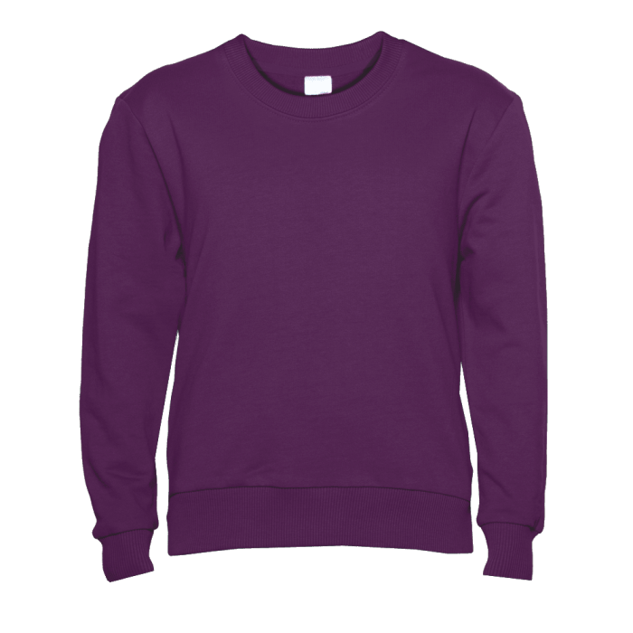 Толстовка 63J, Сливовый,